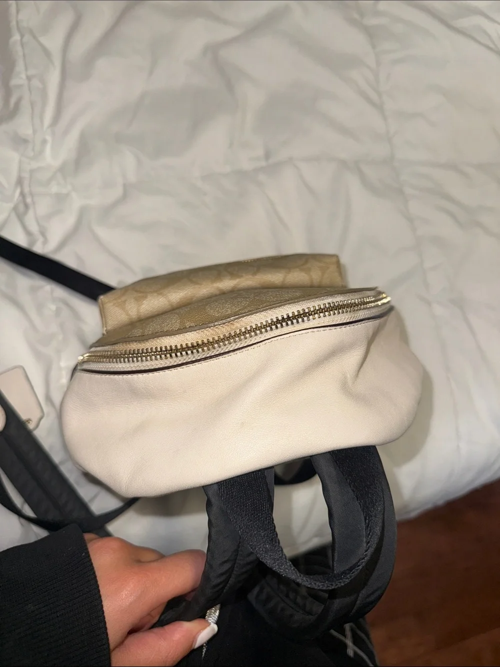 Coach compact mini